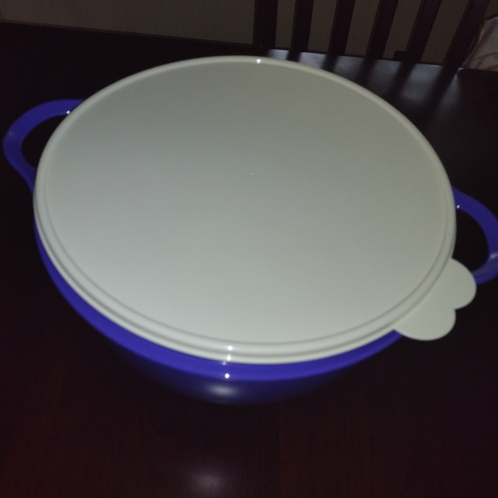 42 Cups Tupperware Thatsa Mega Bolw 42 Cups